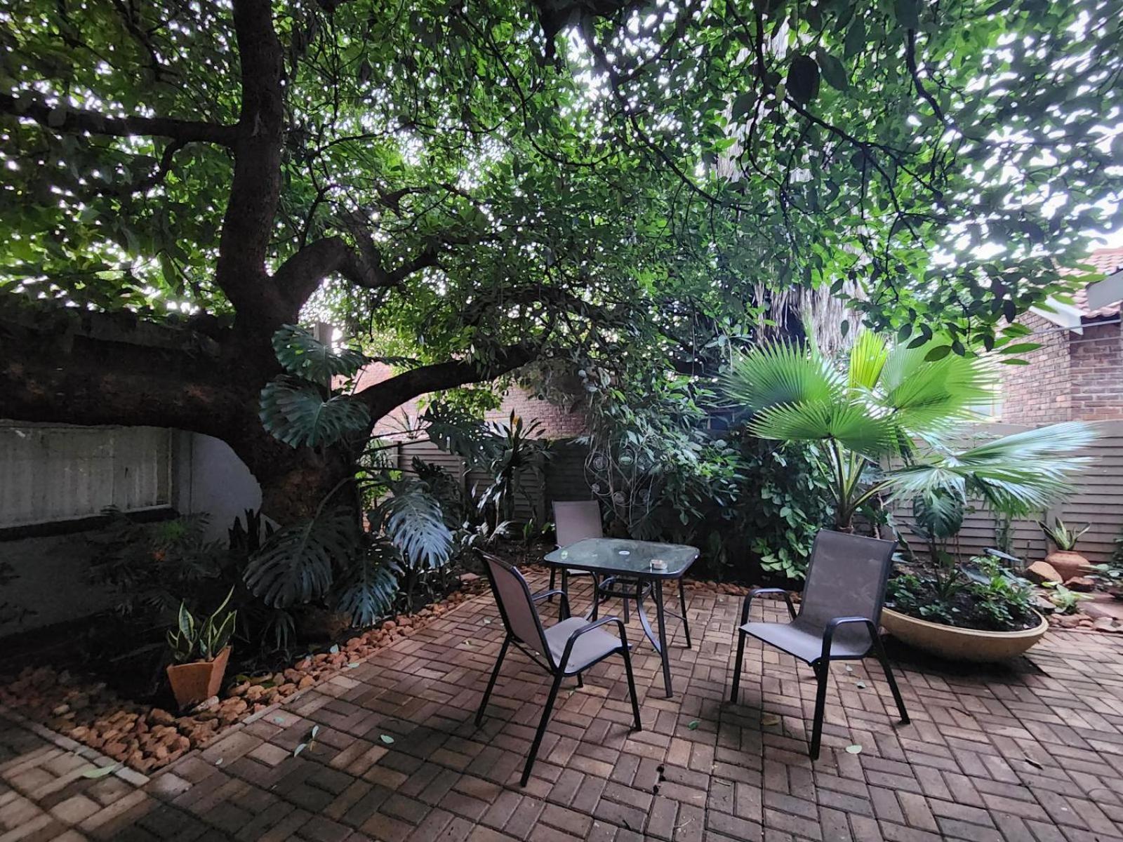 Tree Aloe Guest House Mokopane Værelse billede