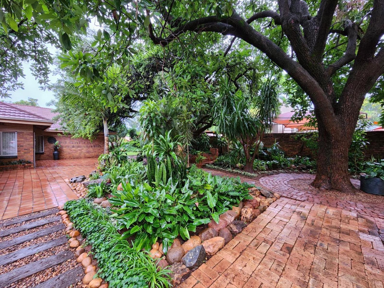 Tree Aloe Guest House Mokopane Eksteriør billede