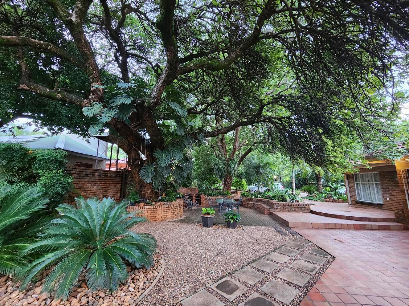 Tree Aloe Guest House Mokopane Eksteriør billede