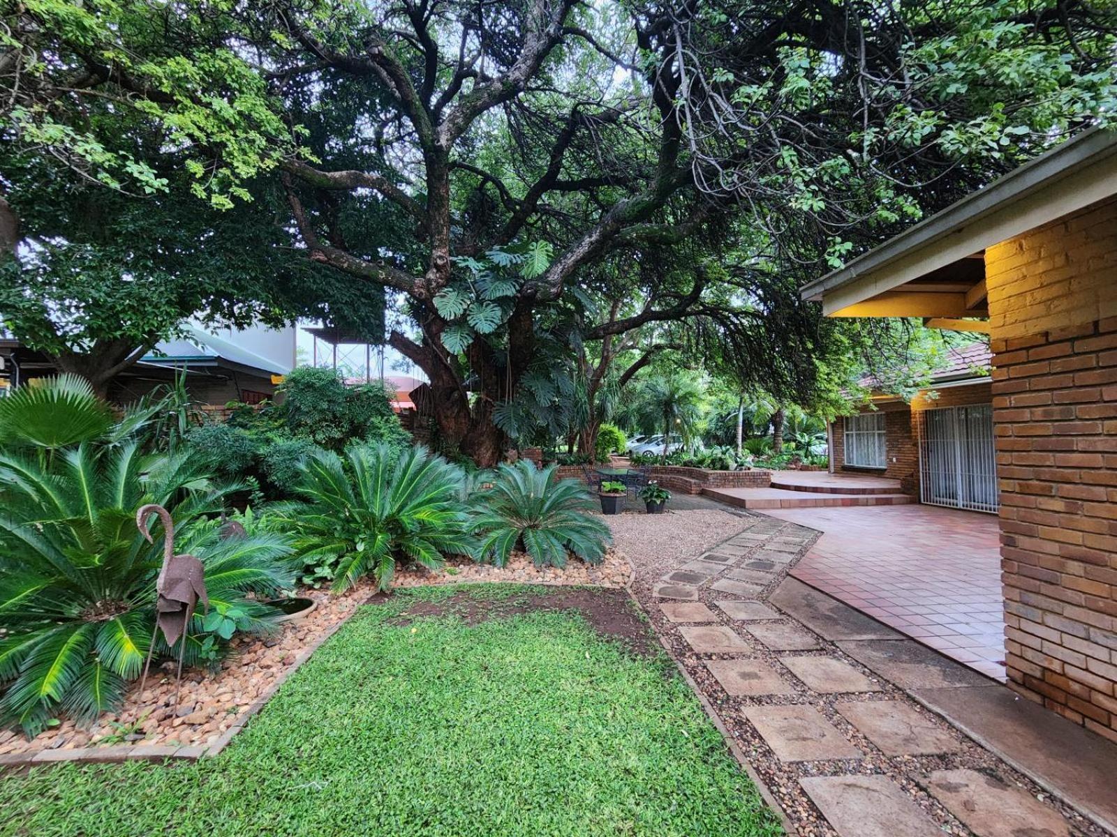 Tree Aloe Guest House Mokopane Eksteriør billede
