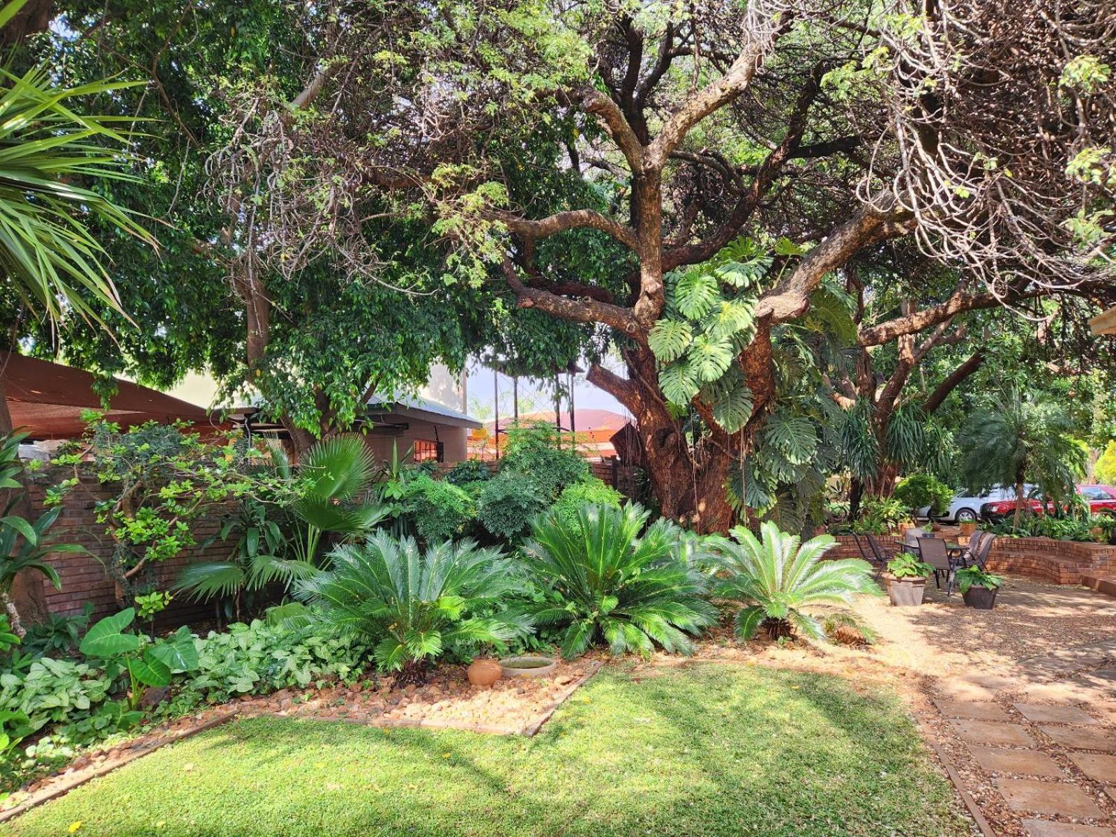 Tree Aloe Guest House Mokopane Eksteriør billede